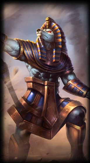 Nasus pharaon